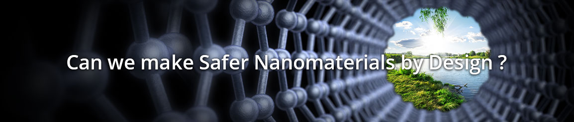Can we make Safer Nanomaterials by Design?
